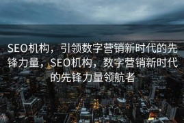 SEO机构，引领数字营销新时代的先锋力量，SEO机构，数字营销新时代的先锋力量领航者