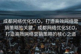 成都网络优化SEO，打造高效网络营销策略的关键，成都网络优化SEO，打造高效网络营销策略的核心之道