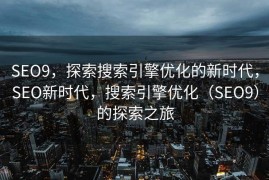 SEO9，探索搜索引擎优化的新时代，SEO新时代，搜索引擎优化（SEO9）的探索之旅