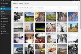 WordPress 4.0：内容丰富的手册