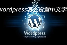 wordpress怎么设置中文字体
