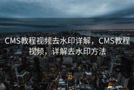 CMS教程视频去水印详解，CMS教程视频，详解去水印方法