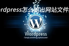 wordpress怎么输出网站文件路径