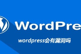 wordpress会有漏洞吗