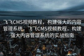 飞飞CMS视频教程，构建强大的内容管理系统，飞飞CMS视频教程，构建强大内容管理系统的实战指南