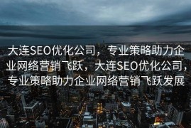 大连SEO优化公司，专业策略助力企业网络营销飞跃，大连SEO优化公司，专业策略助力企业网络营销飞跃发展