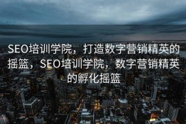 SEO培训学院，打造数字营销精英的摇篮，SEO培训学院，数字营销精英的孵化摇篮