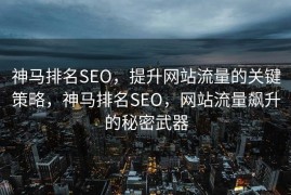 神马排名SEO，提升网站流量的关键策略，神马排名SEO，网站流量飙升的秘密武器