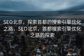 SEO北京，探索首都的搜索引擎优化之路，SEO北京，首都搜索引擎优化之路的探索