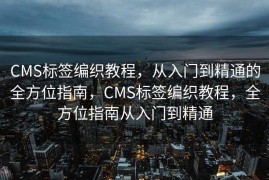 CMS标签编织教程，从入门到精通的全方位指南，CMS标签编织教程，全方位指南从入门到精通