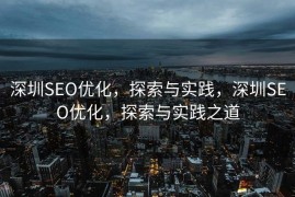 深圳SEO优化，探索与实践，深圳SEO优化，探索与实践之道