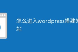 怎么进入wordpress搭建的网站