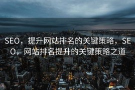 SEO，提升网站排名的关键策略，SEO，网站排名提升的关键策略之道