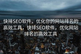 快排SEO软件，优化你的网站排名的高效工具，快排SEO软件，优化网站排名的高效工具