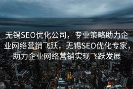 无锡SEO优化公司，专业策略助力企业网络营销飞跃，无锡SEO优化专家，助力企业网络营销实现飞跃发展