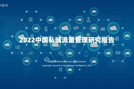 亿欧智库：2022中国私域流量管理研究报告-2025最新seo资料