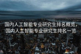 国内人工智能专业研究生排名概览，国内人工智能专业研究生排名一览