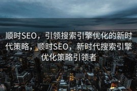 顺时SEO，引领搜索引擎优化的新时代策略，顺时SEO，新时代搜索引擎优化策略引领者