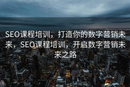 SEO课程培训，打造你的数字营销未来，SEO课程培训，开启数字营销未来之路