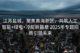 江苏盐城，聚焦黄海新区，共筑人工智能+绿电+冷能新篇章 2025年专题招商引领未来