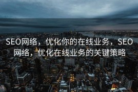 SEO网络，优化你的在线业务，SEO网络，优化在线业务的关键策略