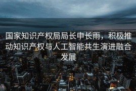 国家知识产权局局长申长雨，积极推动知识产权与人工智能共生演进融合发展
