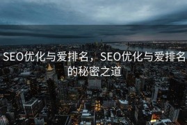 SEO优化与爱排名，SEO优化与爱排名的秘密之道