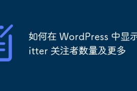 如何在 WordPress 中显示 Twitter 关注者数量及更多