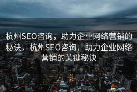 杭州SEO咨询，助力企业网络营销的秘诀，杭州SEO咨询，助力企业网络营销的关键秘诀