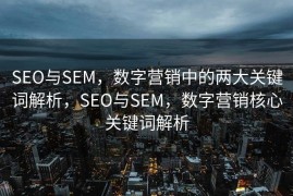 SEO与SEM，数字营销中的两大关键词解析，SEO与SEM，数字营销核心关键词解析