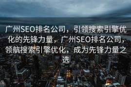 广州SEO排名公司，引领搜索引擎优化的先锋力量，广州SEO排名公司，领航搜索引擎优化，成为先锋力量之选