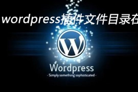 wordpress插件文件目录在哪
