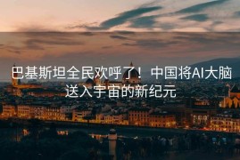 巴基斯坦全民欢呼了！中国将AI大脑送入宇宙的新纪元
