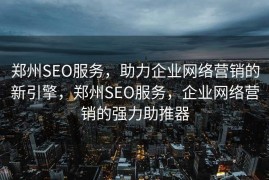 郑州SEO服务，助力企业网络营销的新引擎，郑州SEO服务，企业网络营销的强力助推器