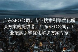 广东SEO公司，专业搜索引擎优化解决方案的提供者，广东SEO公司，专业搜索引擎优化解决方案专家