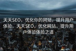 天天SEO，优化你的网站，提升用户体验，天天SEO，优化网站，提升用户体验体验之道