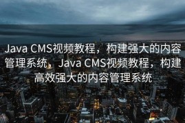 Java CMS视频教程，构建强大的内容管理系统，Java CMS视频教程，构建高效强大的内容管理系统