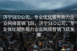 济宁SEO公司，专业优化服务助力企业网络营销飞跃，济宁SEO公司，专业优化服务助力企业网络营销飞跃发展