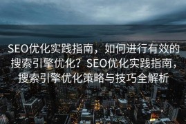 SEO优化实践指南，如何进行有效的搜索引擎优化？SEO优化实践指南，搜索引擎优化策略与技巧全解析