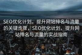 SEO优化计划，提升网站排名与流量的关键步骤，SEO优化计划，提升网站排名与流量的实战指南
