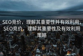 SEO竞价，理解其重要性并有效利用，SEO竞价，理解其重要性及有效利用策略