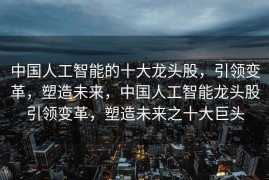 中国人工智能的十大龙头股，引领变革，塑造未来，中国人工智能龙头股引领变革，塑造未来之十大巨头