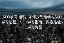 SEO学习指南，如何找到最佳的SEO学习途径，SEO学习指南，探索最佳SEO学习路径