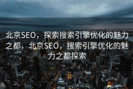 北京SEO，探索搜索引擎优化的魅力之都，北京SEO，搜索引擎优化的魅力之都探索