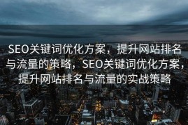 SEO关键词优化方案，提升网站排名与流量的策略，SEO关键词优化方案，提升网站排名与流量的实战策略