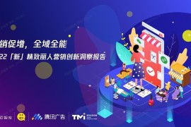 腾讯广告：2022新精致丽人营销创新洞察报告-2025最新seo资料