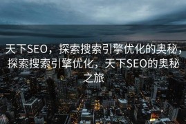 天下SEO，探索搜索引擎优化的奥秘，探索搜索引擎优化，天下SEO的奥秘之旅