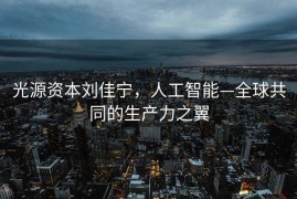 光源资本刘佳宁，人工智能—全球共同的生产力之翼
