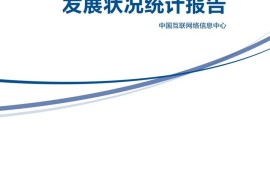 CNNIC：第54次中国互联网络发展状况统计报告-2025最新seo资料