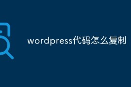 wordpress代码怎么复制